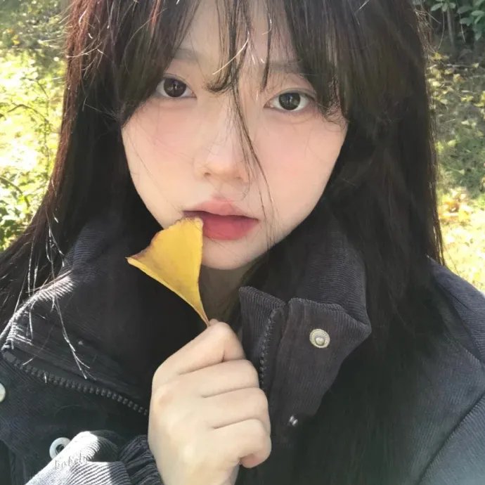 双龙会粤语